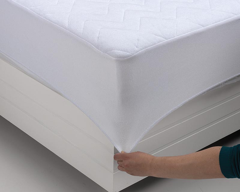 Detalle elasticidad