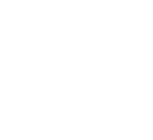 LEÓN LOGO BLANCO